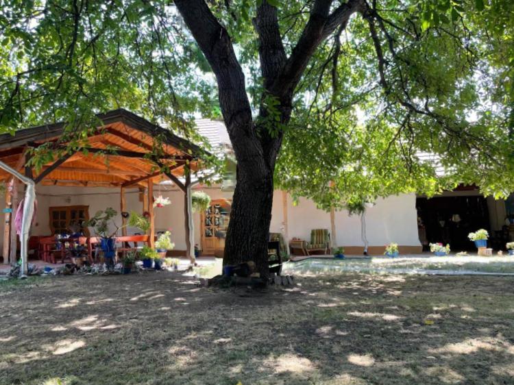 Guesthouse Kohari エゲルサローク エクステリア 写真