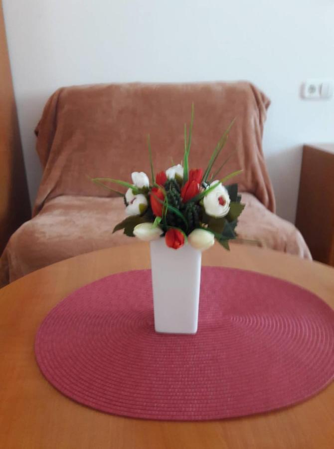 Guesthouse Kohari エゲルサローク エクステリア 写真